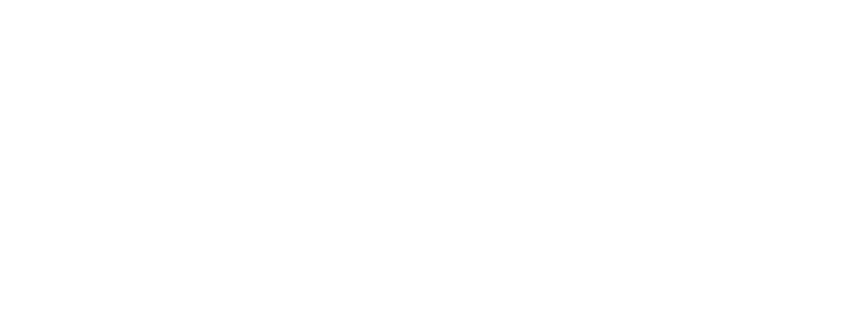 MetaGPT